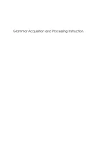 Product cover for Grammar Acquisition and Processing Instruction