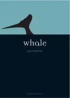 Product cover for Whale
