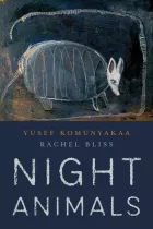 Product cover for Night Animals