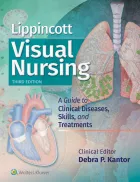 Product cover for Lippincott Visual Nursing