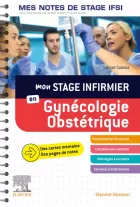 Product cover for Gynecologie-Obstetrique. Mes notes de stage IFSI