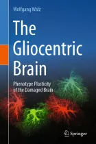 Product cover for The Gliocentric Brain