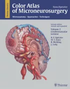 Product cover for  Volume 2 - Cerebrovascular Lesions