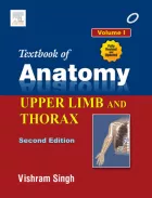 Product cover for  Major Nerves of the Upper Limb