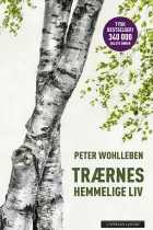 Product cover for Trærnes hemmelige liv