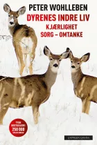 Product cover for  kjærlighet, sorg, omtanek