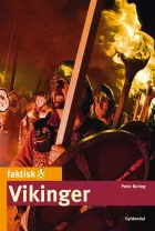 Product cover for Vikinger