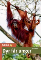 Product cover for Dyr får unger
