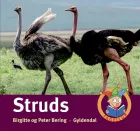 Product cover for Struds