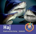 Product cover for Haj