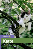 Product cover for Katte