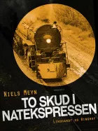 Product cover for To skud i Natekspressen