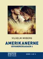Product cover for Amerikanerne (Storskrift)