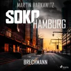 Product cover for  Brechmann (Ein Fall für Heike Stein, Band 17)
