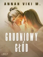 Product cover for Grudniowy głód – świąteczny romans erotyczny