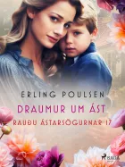 Product cover for Draumur um ást (Rauðu ástarsögurnar 17)