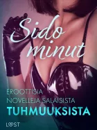 Product cover for  Eroottisia novelleja salaisista tuhmuuksista