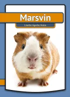 Product cover for Marsvin