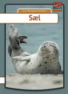 Product cover for Sæl