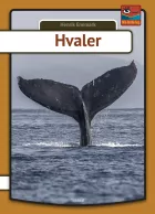 Product cover for Hvaler