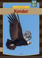 Product cover for Kondor