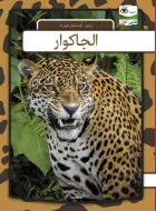 Product cover for Jaguar - arabisk