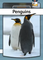 Product cover for Penguins