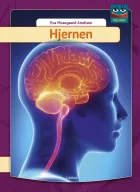 Product cover for Hjernen