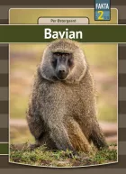 Product cover for Bavian