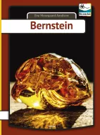 Product cover for Bernstein