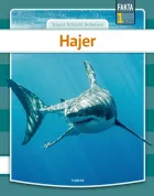 Product cover for Hajer