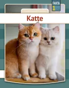 Product cover for Katte