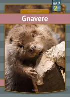 Product cover for Gnavere