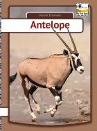 Product cover for Antelope