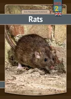 Product cover for Rats
