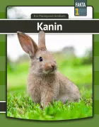 Product cover for Kanin