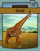 Product cover for Giraf