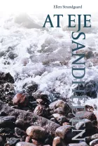 Product cover for At eje sandheden