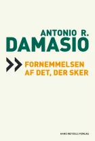 Product cover for Fornemmelsen af det, der sker