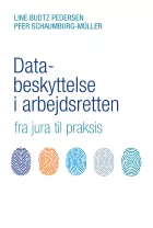 Product cover for Databeskyttelse i arbejdsretten