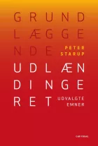 Product cover for Grundlæggende udlændingeret