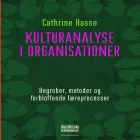Product cover for Kulturanalyse i organisationer