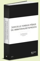 Product cover for Judicielle forbud/påbud og immaterialretsproces