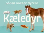 Product cover for  Kæledyr