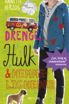 Product cover for Drenge, hulk og hemmeligheder. Drenge &amp; ... 4