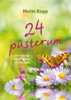 Product cover for 24 pusterum