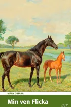 Product cover for Min ven Flicka