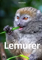 Product cover for Lemurer