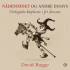 Product cover for Nådestødet og andre essays