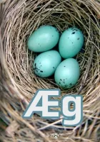 Product cover for Æg